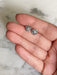 Sand Dollar Post Earrings | Sterling Silver Stud | Light Years Jewelry