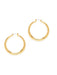 14k Gold Plated Maria Hoops by Amano Studio | Surgical Steel Pincatch | Light Years Jewelry
