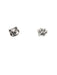 Cat & Paw Print Posts | Sterling Silver Studs Earrings | Light Years
