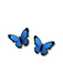 Butterfly Post Earrings by Sienna Sky | USA Studs | Light Years Jewelry