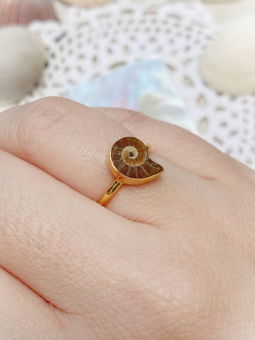 Vermeil Ammonite Ring