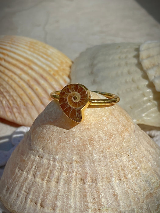 Ammonite Fossil Ring | Gold Vermeil Size 4 5 6 7 8 9 10 | Light Years