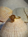 Ammonite Fossil Ring | Gold Vermeil Size 4 5 6 7 8 9 10 | Light Years