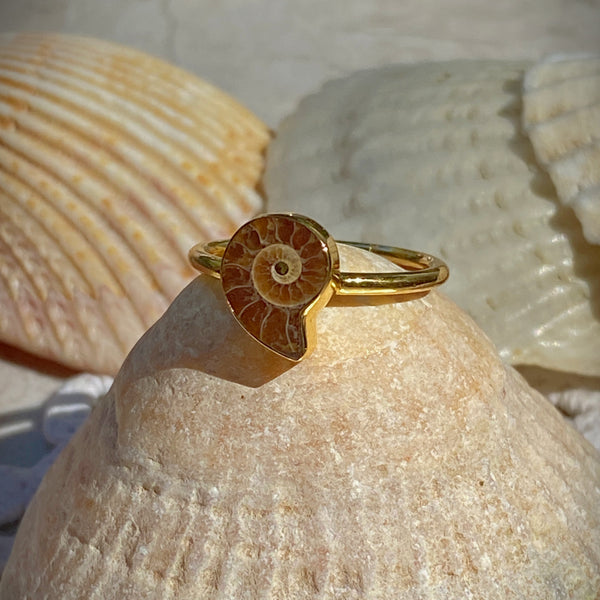 Ammonite Fossil Ring | Gold Vermeil Size 4 5 6 7 8 9 10 | Light Years