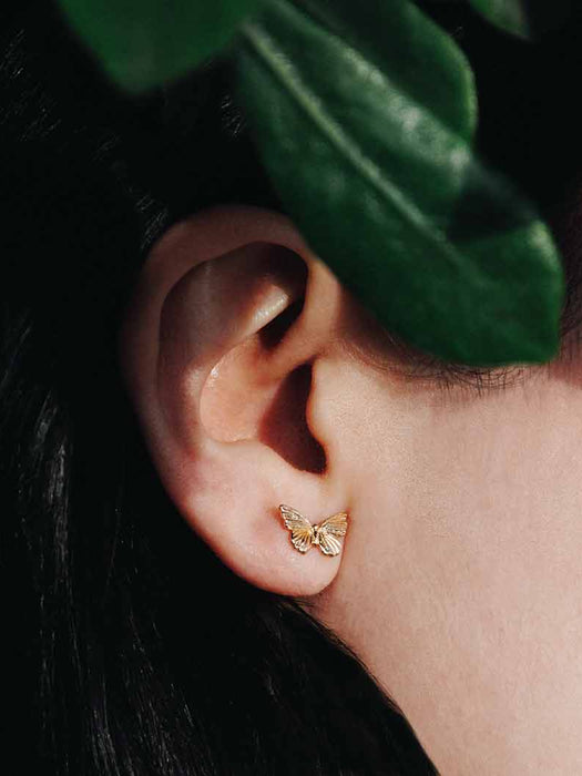 Detailed Butterfly Posts