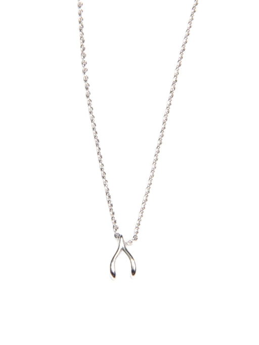 Dainty Wishbone Necklace | Silver or Gold Plate | Light Years Jewelry