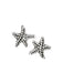 Starfish Posts | Sterling Silver Stud Earrings | Light Years Jewelry