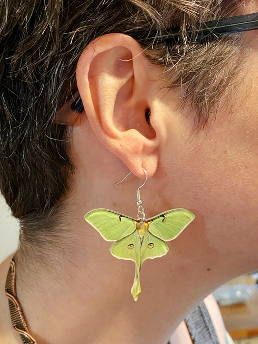 Acrylic Luna Moth Statement Earrings