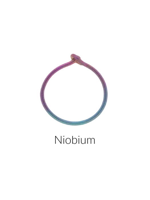 Single Nose Ear Hoops |  Niobium | Light Years 
