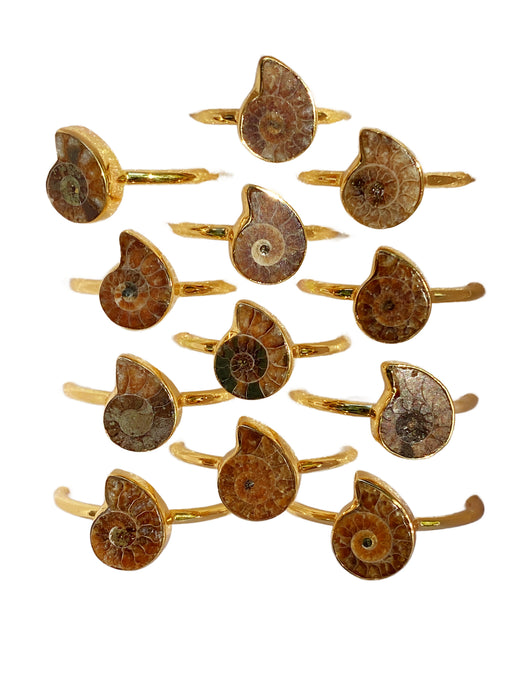 Ammonite Fossil Ring | Gold Vermeil Size 4 5 6 7 8 9 10 | Light