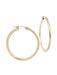 Classic Pincatch Hoops | 14kt Gold Filled Earrings | Light Years Jewelry