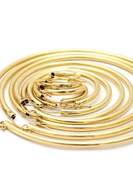 14kt Gold Filled Pincatch Hoop Earrings