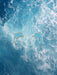 Blue Dolphins Posts by Tomas | Sterling Silver Studs Earrings | Light Years