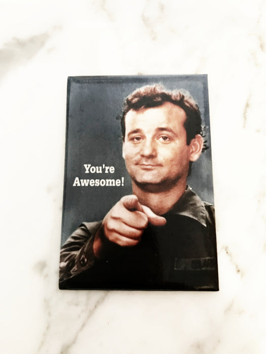 You're Awesome! Bill Murray Fridge Magnet | 2 x 3 | Light Years Jewelry