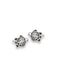 Turtle Posts | Sterling Silver Stud Earrings | Light Years Jewelry