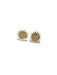 Golden Sun Posts | Sterling Silver Studs Earrings | Light Years Jewelry