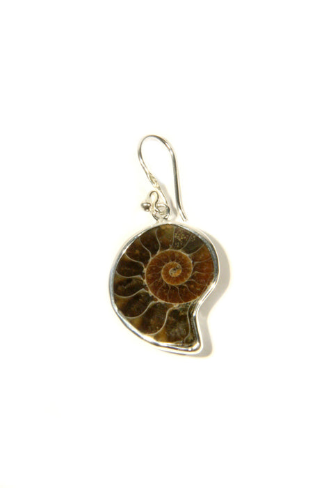 Ammonite Dangles, $24 | Genuine Fossil Earrings | Light Years Jewelry