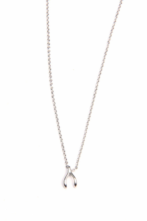 Vintage Pewter Wishbone Necklace on Silvertone Chain | eBay