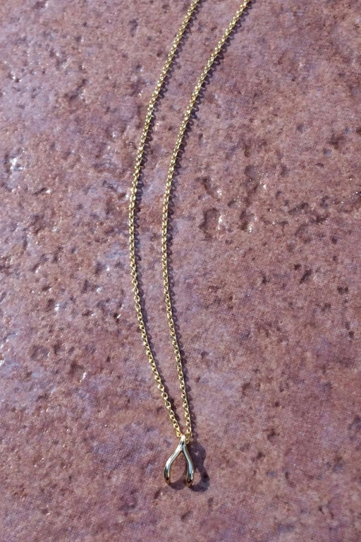 Amanda Rose Sideways Cubic Zirconia Wishbone Necklace in Sterling Silv |  MLG Jewelry