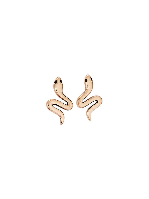 Bronze Snake Posts | Sterling Silver Gold Studs Earrings | Light Years