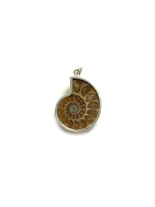 Ammonite Pendant | Sterling Silver Fossil Necklace Bali | Light Years