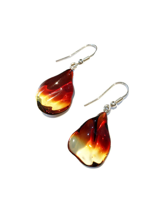 Ombre Baltic Amber Dangles | Sterling Silver Earrings | Light Years