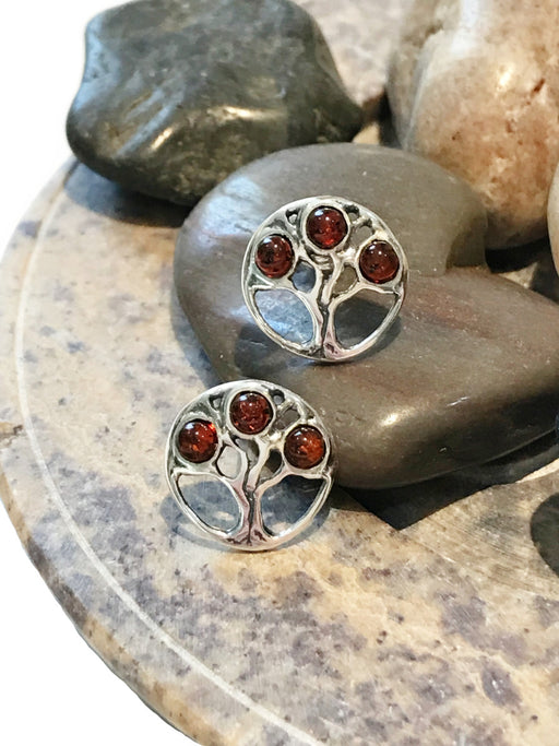 Encircled Amber Tree Posts | Sterling Silver Studs Earrings | Light Years