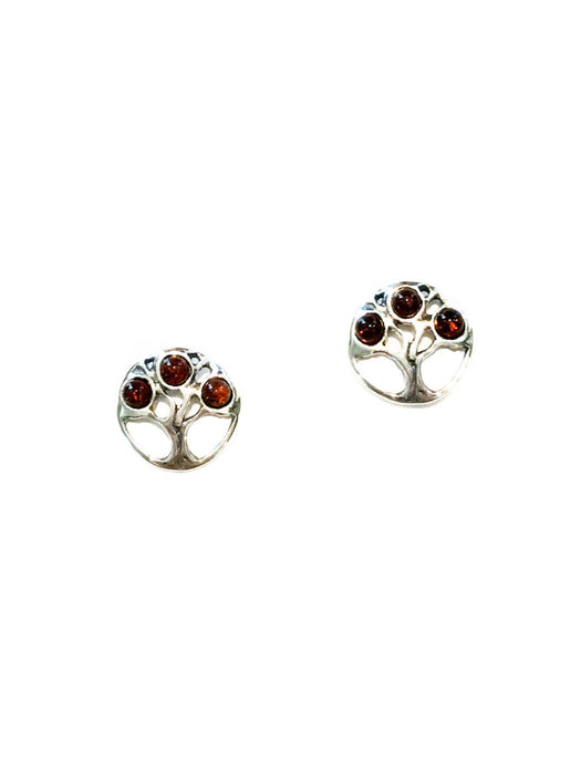 Encircled Amber Tree Posts | Sterling Silver Studs Earrings | Light Years