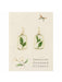 Dried Fern Dangles | Pressed Flower Earrings | Light Years Jewelry