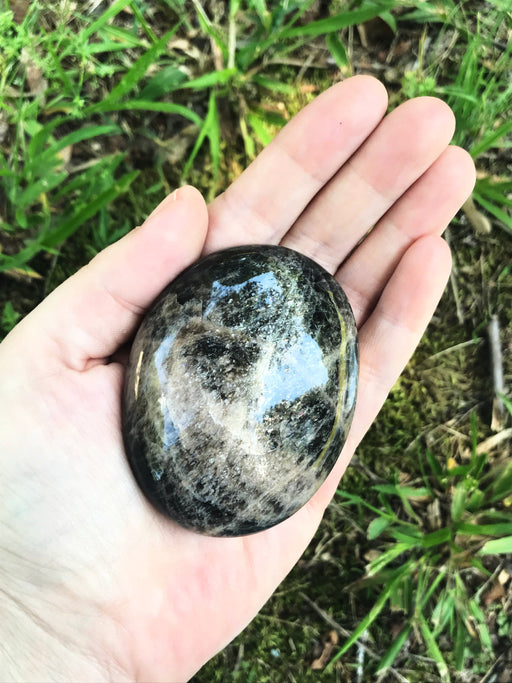 Black Moonstone Palm Stone | Light Years Jewelry Crystal & Gifts