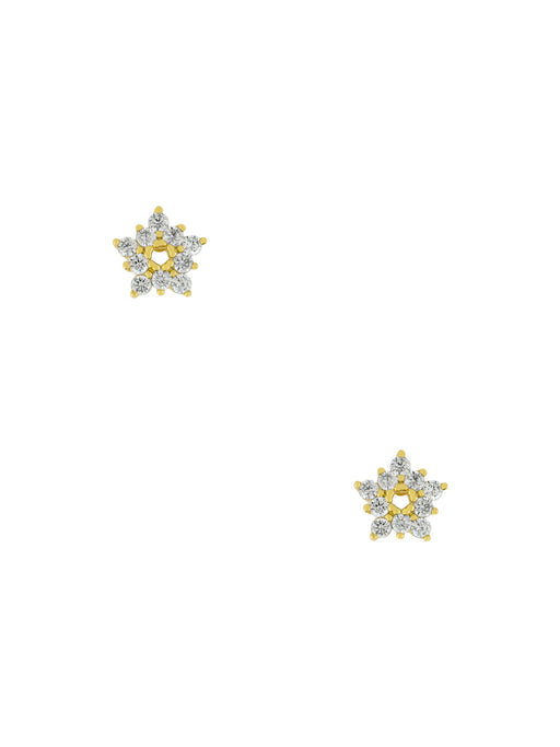 CZ Star Flower Posts | Silver Gold Plated Studs Earrings | Light Years Jewelry