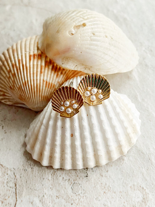 Shell & Pearl Posts | Gold Plated Stud Earrings | Light Years Jewelry