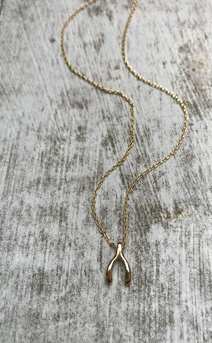 Lucky Wishbone Necklace – Initial Obsession