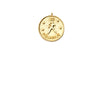 Zodiac Medallion Necklace | Aquarius | Gold Plated Chain Pendant | Light Years 
