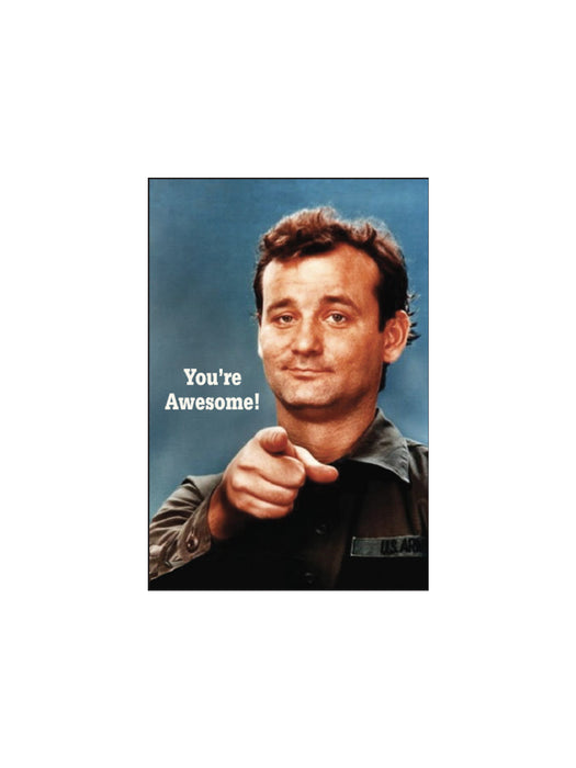 You're Awesome! Bill Murray Magnet