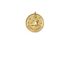 Zodiac Medallion Necklace | Capricorn | Gold Plated Chain Pendant | Light Years 