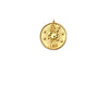 Zodiac Medallion Necklace | Leo | Gold Plated Chain Pendant | Light Years 